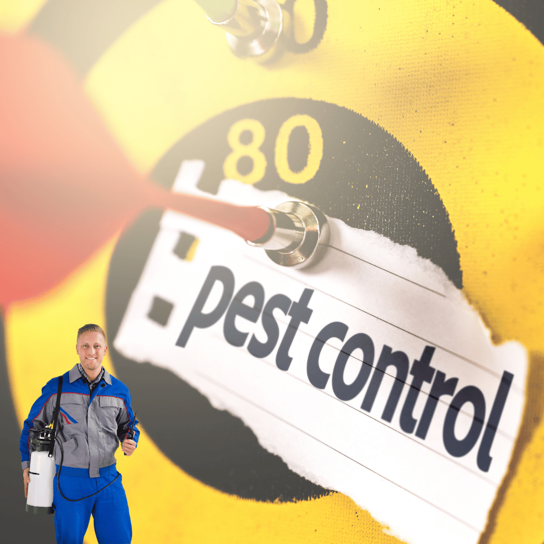 PEST CONTROL – AZ Distributor
